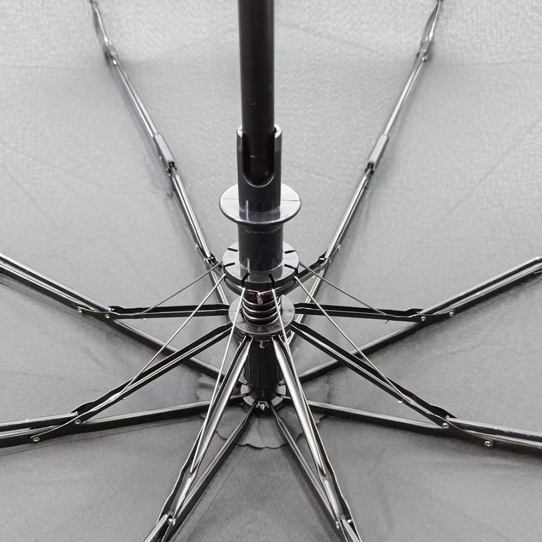 Destinio Umbrella - Black 21 Inch | Auto Open-Close, Wind-Resistant, Compact Design